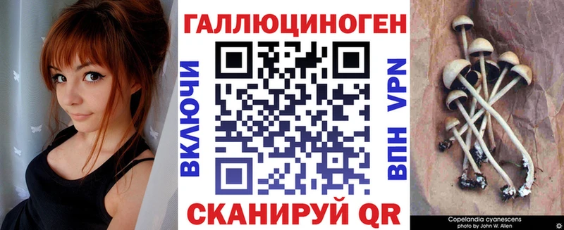 Псилоцибиновые грибы Psilocybine cubensis  Дзержинск 